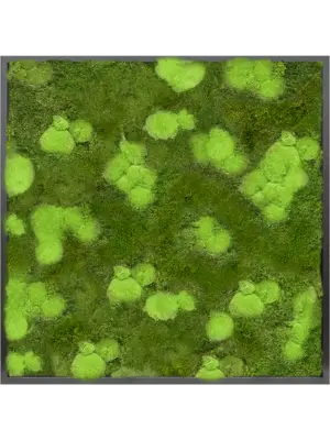 MDF RAL 9005 Satin Gloss 30% Ball- and 70% Flat moss