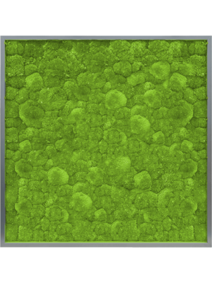 MDF RAL 7016 Satin Gloss 100% Ball moss