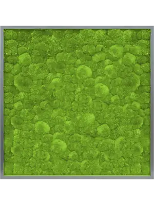 MDF RAL 7016 Satin Gloss 100% Ball moss