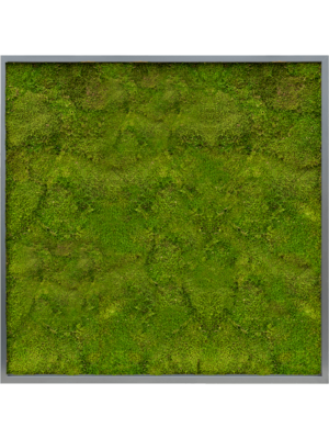 MDF RAL 7016 Satin Gloss 100% Flat moss
