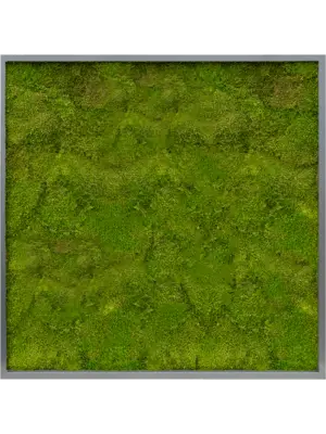 MDF RAL 7016 Satin Gloss 100% Flat moss