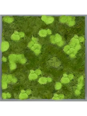 MDF RAL 7016 Satin Gloss 30% Ball- and 70% Flat moss