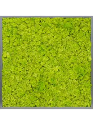 MDF RAL 7016 Satin Gloss 100% Reindeer moss (Spring green)