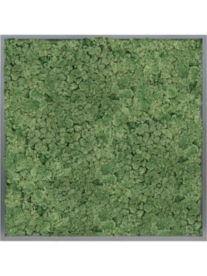 MDF RAL 7016 Satin Gloss 100% Reindeer moss (Moss green)