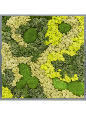 MDF RAL 7016 Satin Gloss 30% Ball moss 70% Reindeer moss (Mix)