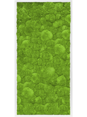 MDF RAL 9010 Satin Gloss 100% Ball Moss