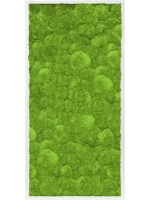 MDF RAL 9010 Satin Gloss 100% Ball Moss