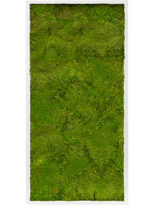 MDF RAL 9010 Satin Gloss 100% Flat Moss