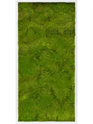 MDF RAL 9010 Satin Gloss 100% Flat Moss