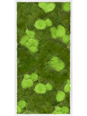 MDF RAL 9010 Satin Gloss 30% Ball- And 70% Flat Moss
