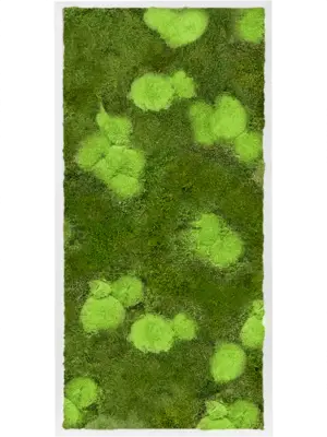 MDF RAL 9010 Satin Gloss 30% Ball- And 70% Flat Moss