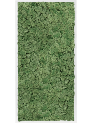 MDF RAL 9010 Satin Gloss 100% Reindeer Moss (Moss green)