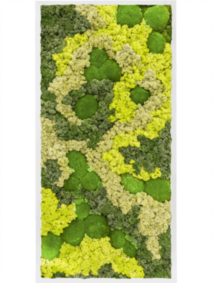 MDF RAL 9010 Satin Gloss 30% Ball moss 70% Reindeer moss (Mix)