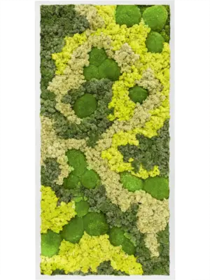 MDF RAL 9010 Satin Gloss 30% Ball moss 70% Reindeer moss (Mix)