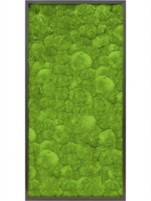 MDF RAL 9005 Satin Gloss 100% Ball moss