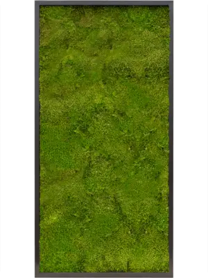 MDF RAL 9005 Satin Gloss 100% Flat moss