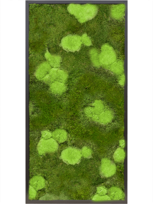 MDF RAL 9005 Satin Gloss 30% Ball- and 70% Flat moss