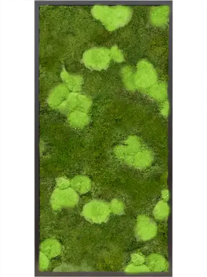 MDF RAL 9005 Satin Gloss 30% Ball- and 70% Flat moss