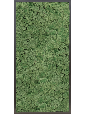 MDF RAL 9005 Satin Gloss 100% Reindeer moss (Moss green)