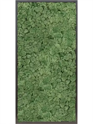 MDF RAL 9005 Satin Gloss 100% Reindeer moss (Moss green)