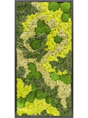 MDF RAL 9005 Satin Gloss 30% Ball moss 70% Reindeer moss (Mix)