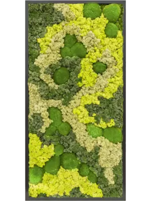 MDF RAL 9005 Satin Gloss 30% Ball moss 70% Reindeer moss (Mix)