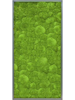MDF RAL 7016 Satin Gloss 100% Ball moss
