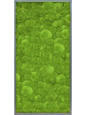 MDF RAL 7016 Satin Gloss 100% Ball moss
