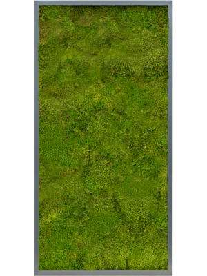 MDF RAL 7016 Satin Gloss 100% Flat moss