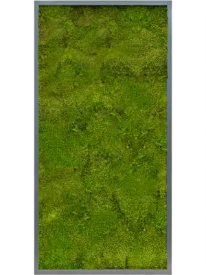 MDF RAL 7016 Satin Gloss 100% Flat moss