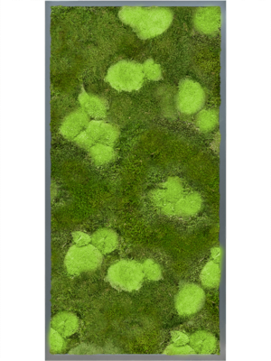 MDF RAL 7016 Satin Gloss 30% Ball- and 70% Flat moss