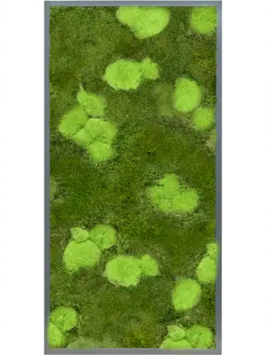 MDF RAL 7016 Satin Gloss 30% Ball- and 70% Flat moss