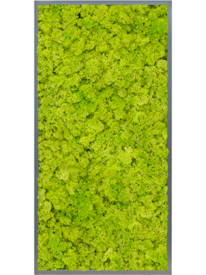 MDF RAL 7016 Satin Gloss 100% Reindeer moss (Spring green)