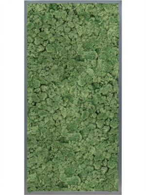 MDF RAL 7016 Satin Gloss 100% Reindeer moss (Moss green)
