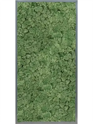 MDF RAL 7016 Satin Gloss 100% Reindeer moss (Moss green)