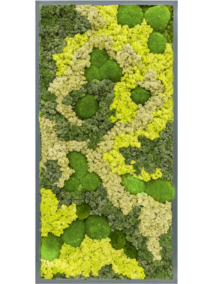 MDF RAL 7016 Satin Gloss 30% Ball moss 70% Reindeer moss (Mix)
