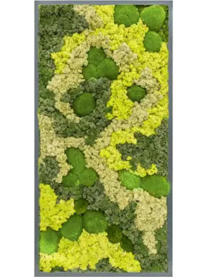 MDF RAL 7016 Satin Gloss 30% Ball moss 70% Reindeer moss (Mix)