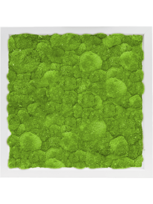 MDF RAL 9010 Satin Gloss 100% Ball Moss