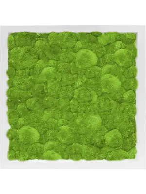 MDF RAL 9010 Satin Gloss 100% Ball Moss