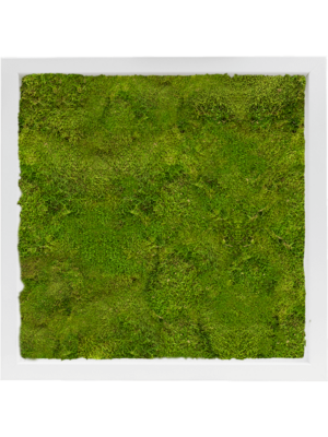 MDF RAL 9010 Satin Gloss 100% Flat Moss