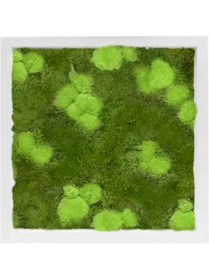 MDF RAL 9010 Satin Gloss 30% Ball- And 70% Flat Moss