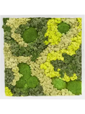 MDF RAL 9010 Satin Gloss 30% Ball moss 70% Reindeer moss (Mix)