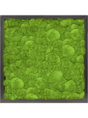 MDF RAL 9005 Satin Gloss 100% Ball moss