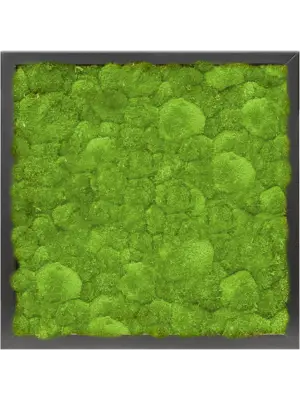 MDF RAL 9005 Satin Gloss 100% Ball moss