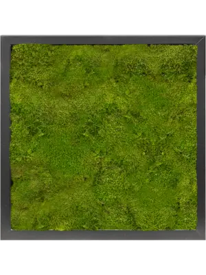 MDF RAL 9005 Satin Gloss 100% Flat moss