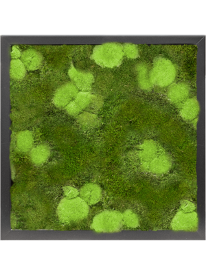 MDF RAL 9005 Satin Gloss 30% Ball- and 70% Flat moss