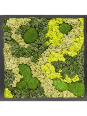 MDF RAL 9005 Satin Gloss 30% Ball moss 70% Reindeer moss (Mix)