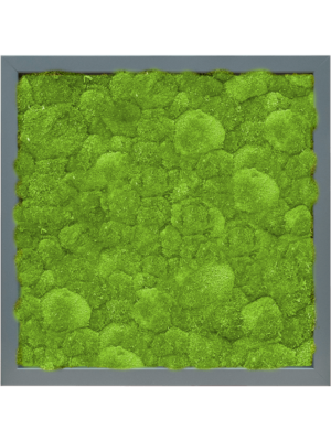 MDF RAL 7016 Satin Gloss 100% Ball Moss