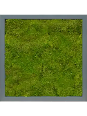 MDF RAL 7016 Satin Gloss 100% Flat Moss