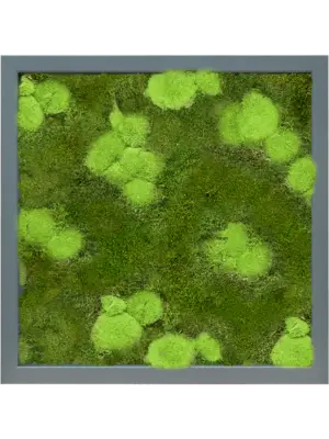 MDF RAL 7016 Satin Gloss 30% Ball- And 70% Flat Moss